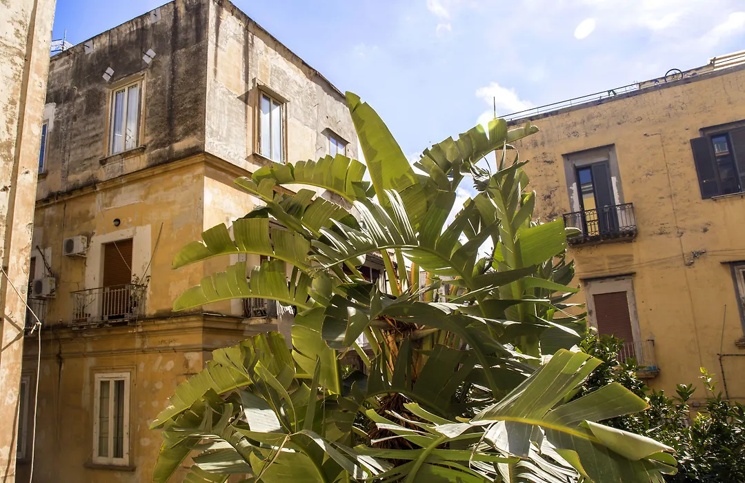 26 Urban Guest House-1